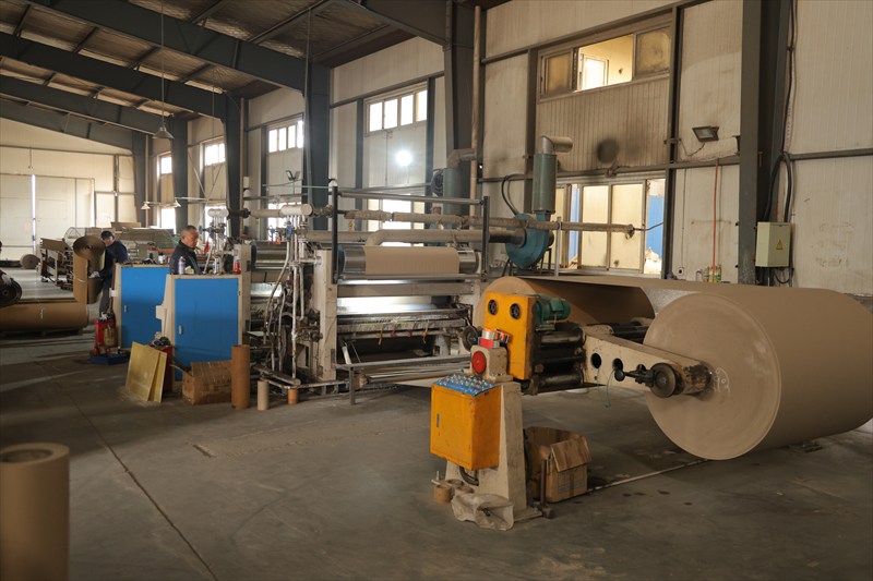 Customer photo of the paper processing workshop and roll converting equipment